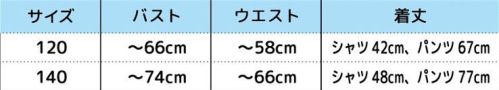 クリアストーン 4560320908999 HW グレイポリスパンツ キッズ 120 グレーのシャツが珍しいポリスコスチューム。本格的なポリスハットがクール！ワッペン付きのシャツはパンツにインしてもラフにアウトしてもバランスの良い着丈。パンツは着やすいウエストゴム仕様。ネクタイはゴムを首に通すだけなので簡単に着脱可能。装飾部分の引っ掛かりや巻き込みに十分ご注意ください。保護者同伴でのご使用をお願い致します。※生産時期やロット、デザインによって、多少サイズ・色・柄・仕様が異なる場合があります。染料の性質上、汗、雨、摩擦により多少色落ちする場合がございます。淡い色との重ね着にはご注意ください。※商品画像は可能な限り実物の色に近づくよう調整しておりますが、お使いのモニター設定、お部屋の照明等により実際の商品と色味が異なって見える場合がございます。又、同じ商品の画像でも、撮影環境によって画像の色に差異が生じる場合がございます。※この商品はご注文後のキャンセル、返品及び交換は出来ませんのでご注意下さい。※なお、この商品のお支払方法は、前払いにて承り、ご入金確認後の手配となります。 サイズ／スペック